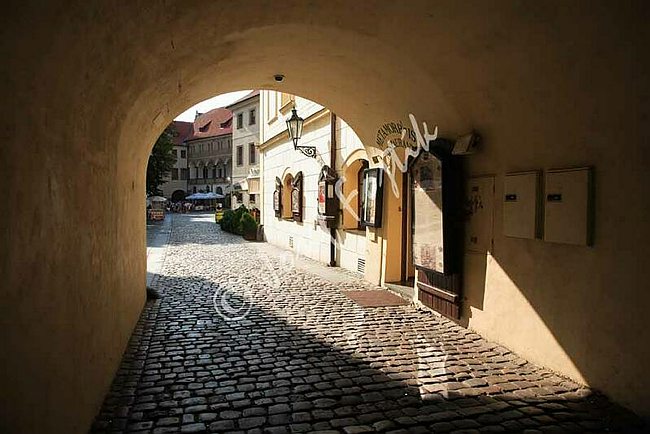IMG0103976.jpg