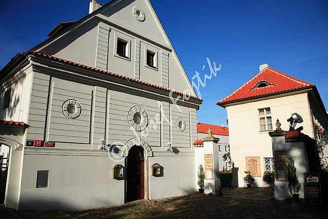 IMG0106455.jpg