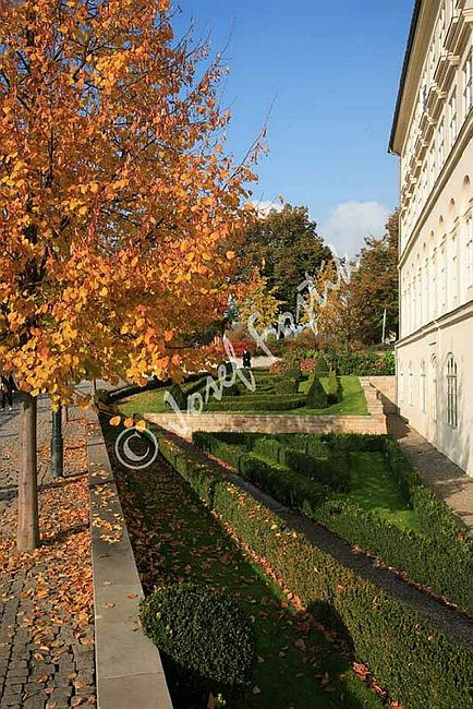 IMG0106612.jpg