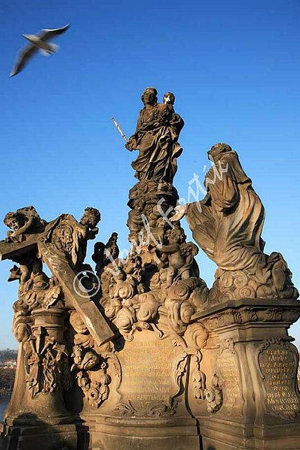 IMG0107173.jpg