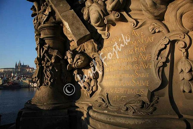 IMG0107176.jpg