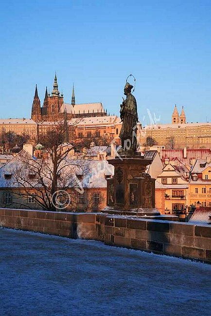IMG0071953.jpg