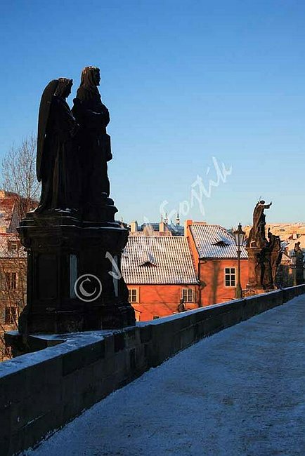 IMG0071988.jpg