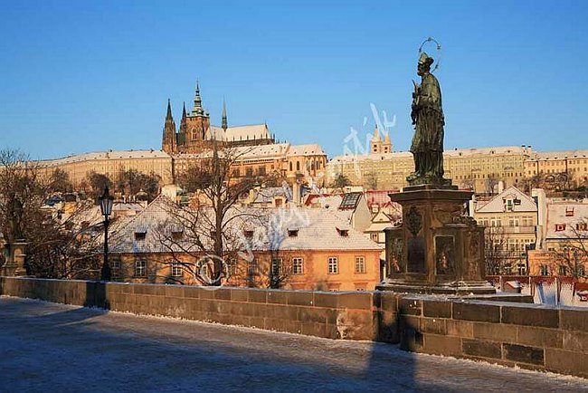 IMG0072009.jpg