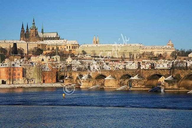IMG0072115.jpg