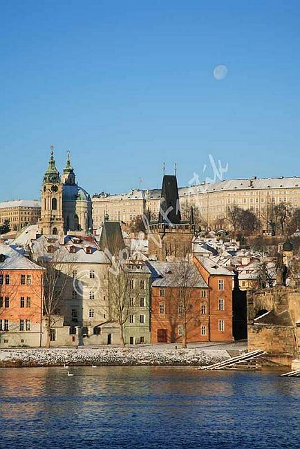 IMG0072195.jpg