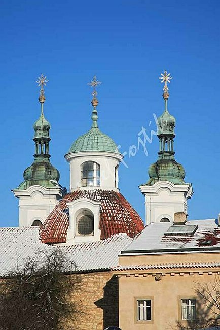 IMG0072286.jpg