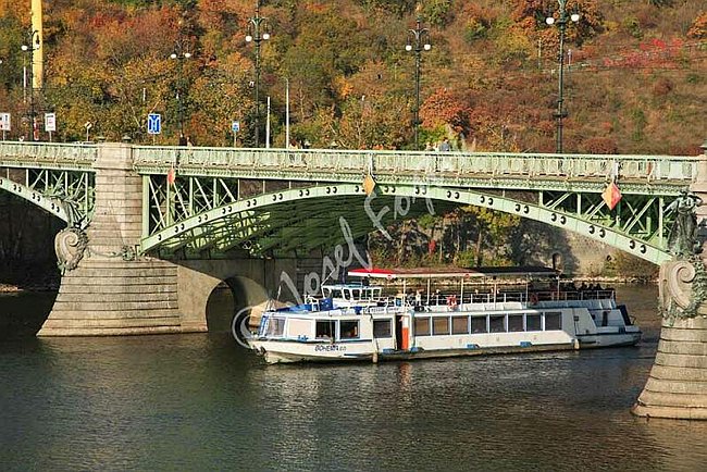 IMG0070110.jpg