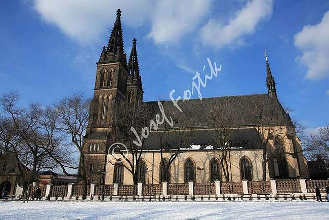 IMG0075553.jpg