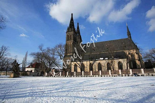 IMG0075555.jpg