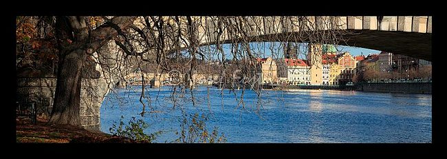 IMG0153822_pan_325.tif