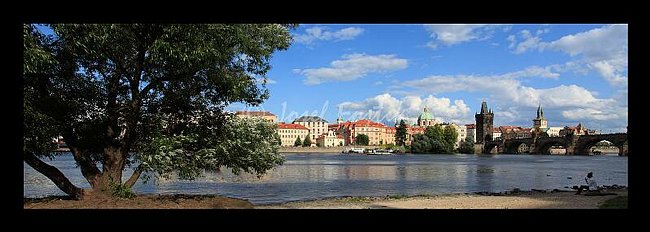 IMG0159226_pan_325.tif