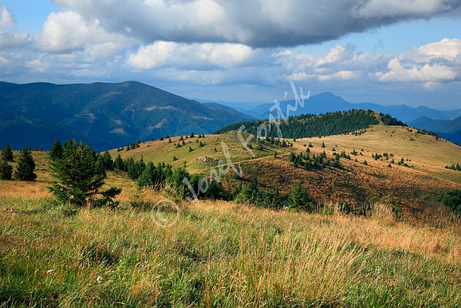 IMG0112957.tif