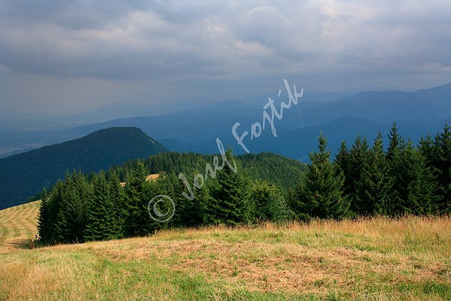 IMG0113167.tif