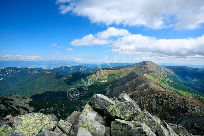 IMG0113212.tif