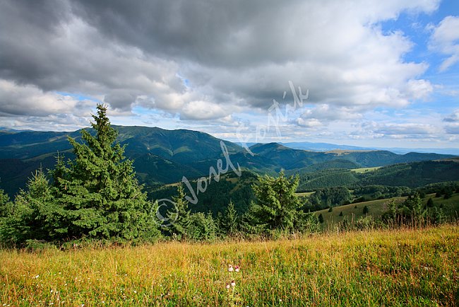 IMG0112911.tif